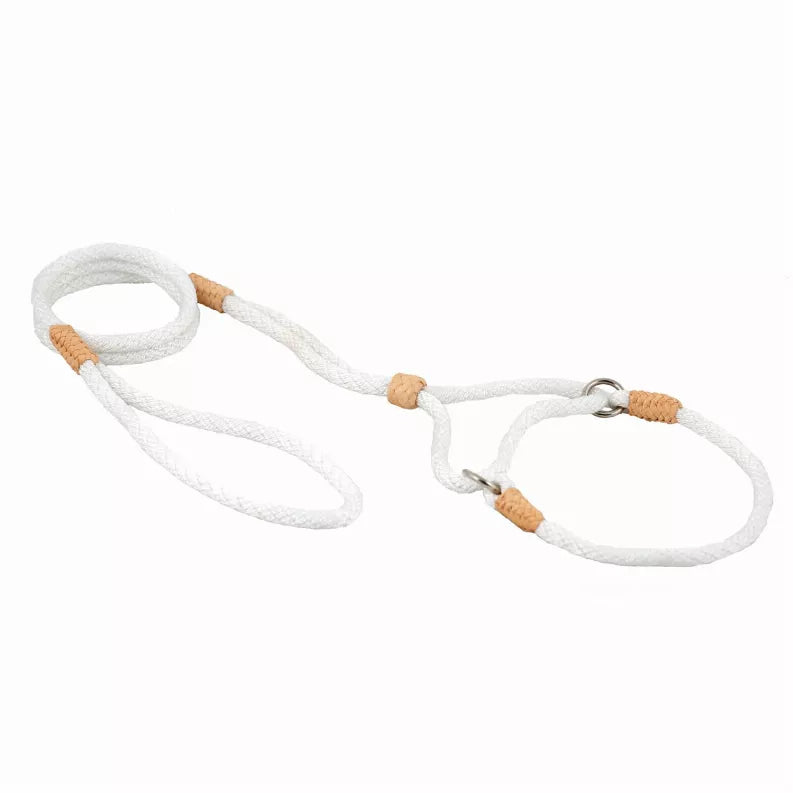 White nylon martingale dog lead with tan leather tabs and metal ring clasp