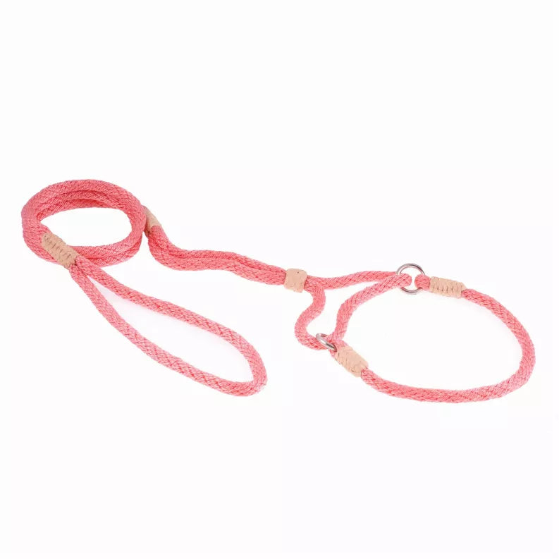 Pink nylon martingale dog lead with braided straps and metal ring hardware