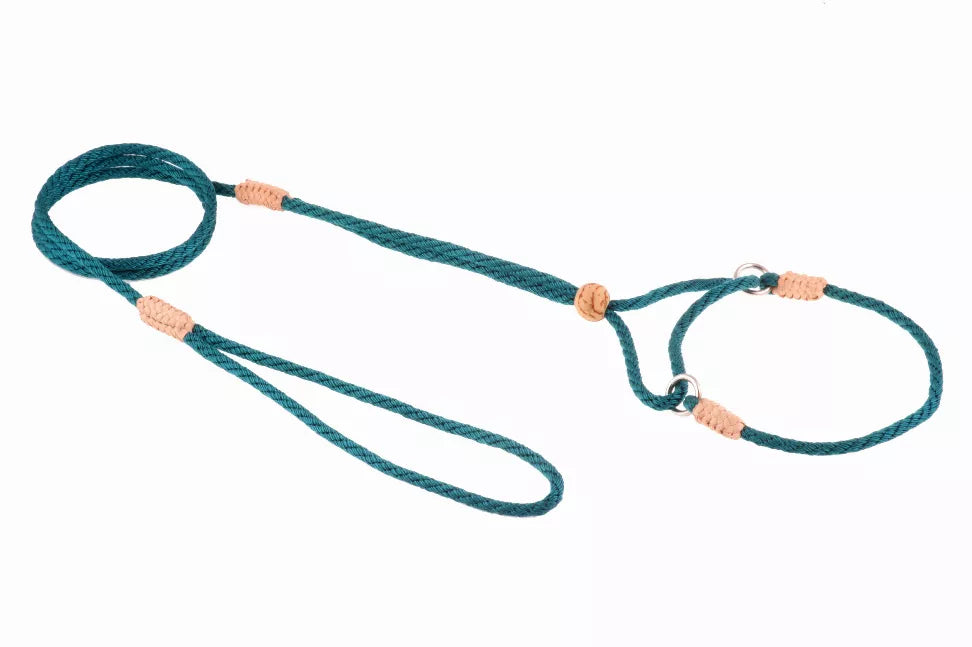 Teal nylon martingale dog lead with metal rings and adjustable tan leather ends