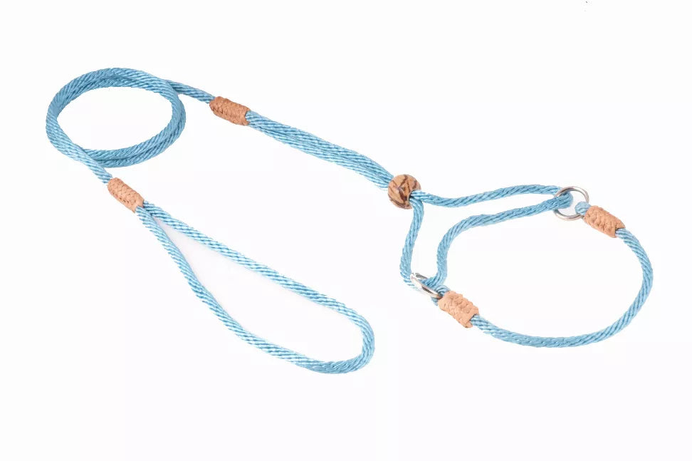 Light blue nylon martingale dog lead with adjustable loop and metal ring