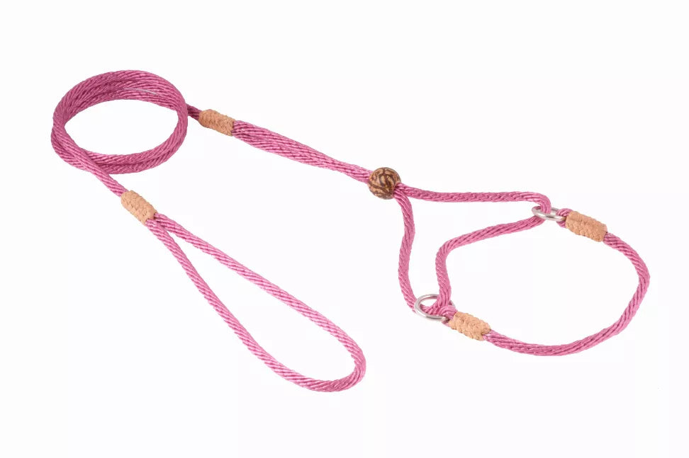 Pink nylon martingale dog lead with braided straps and tan adjuster rings