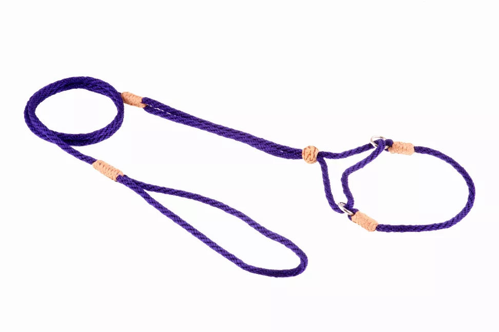 Purple nylon martingale dog lead with two tan loop handles and clasp rings