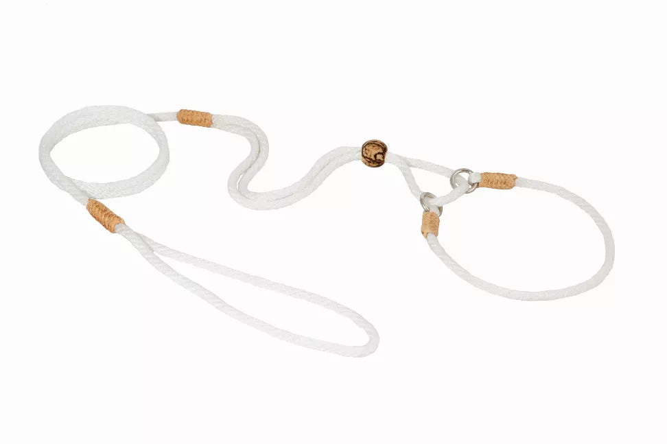 Nylon martingale dog lead, light gray rope with tan leather tabs and metal clasp