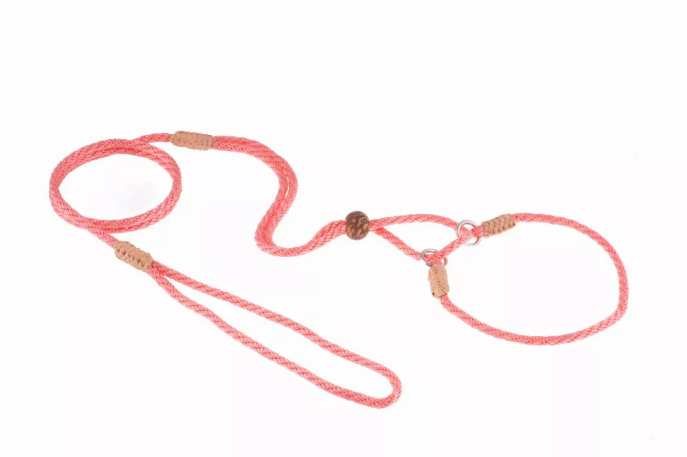Coral pink nylon martingale lead with attached rings and metal clip.