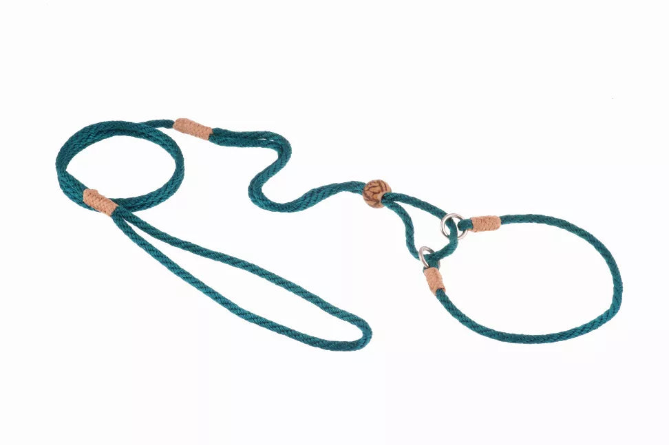 Nylon martingale dog lead in teal with brown leather tabs and metal rings
