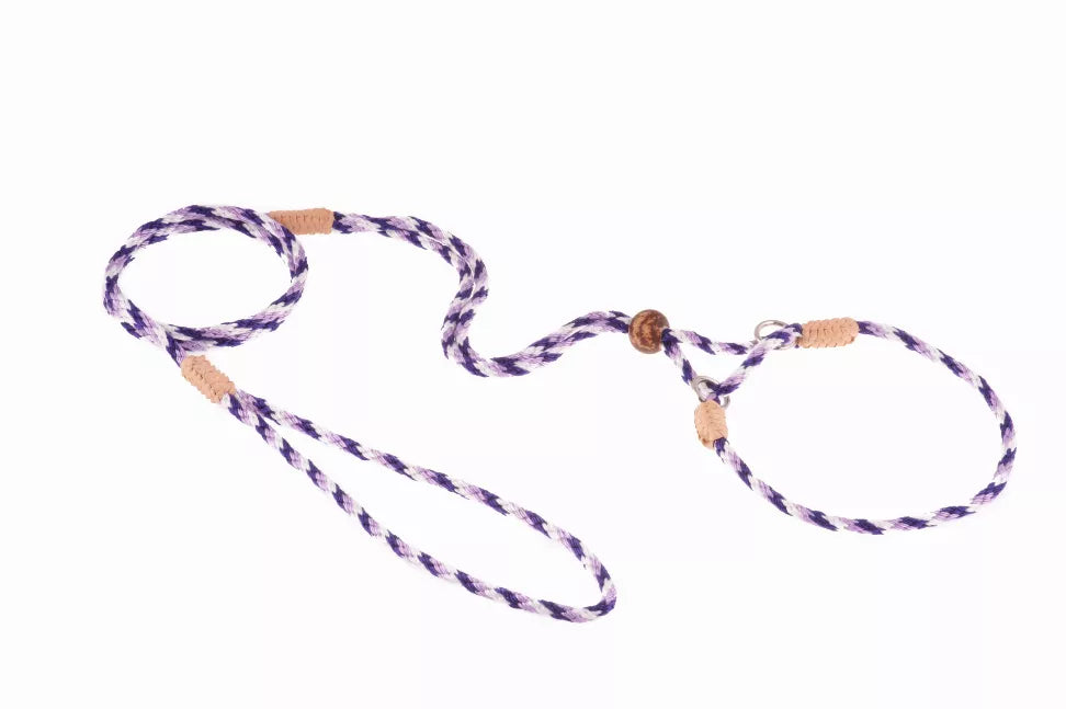 Purple-and-white braided nylon martingale dog lead with two loops and metal ring
