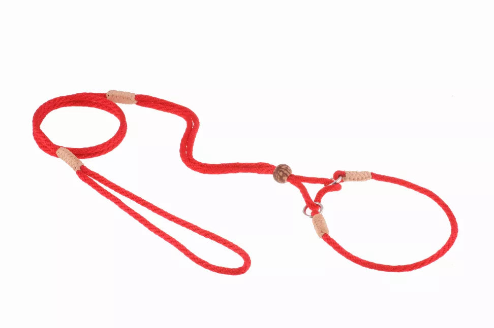 Red nylon martingale dog lead with rope-style adjustable loop and clip rings