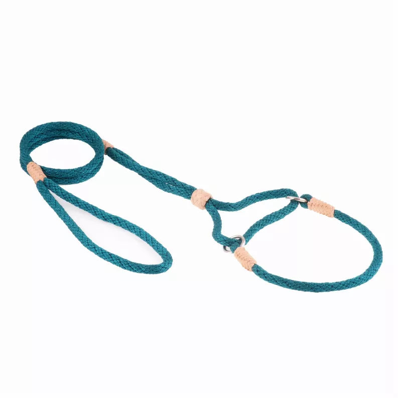 Teal nylon martingale dog lead with tan leather tabs and metal ring
