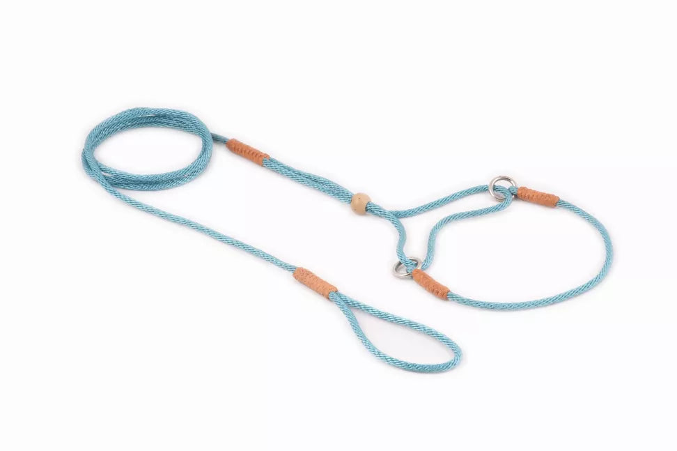 Light blue nylon martingale dog lead with metal ring and tan adjuster beads