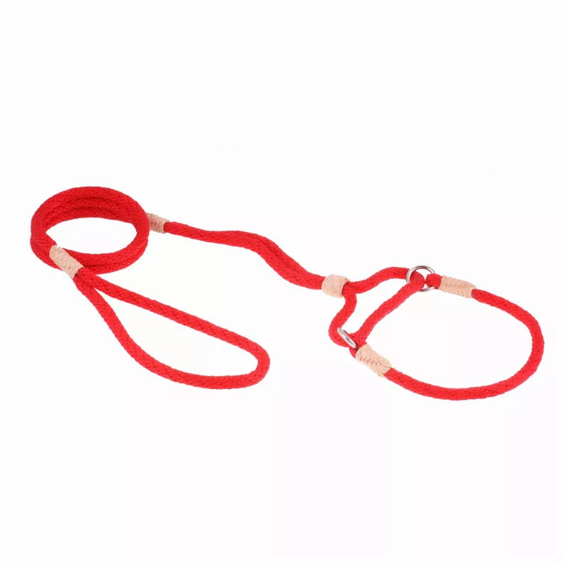 Red nylon martingale dog lead with adjustable loop and metal ring clasp