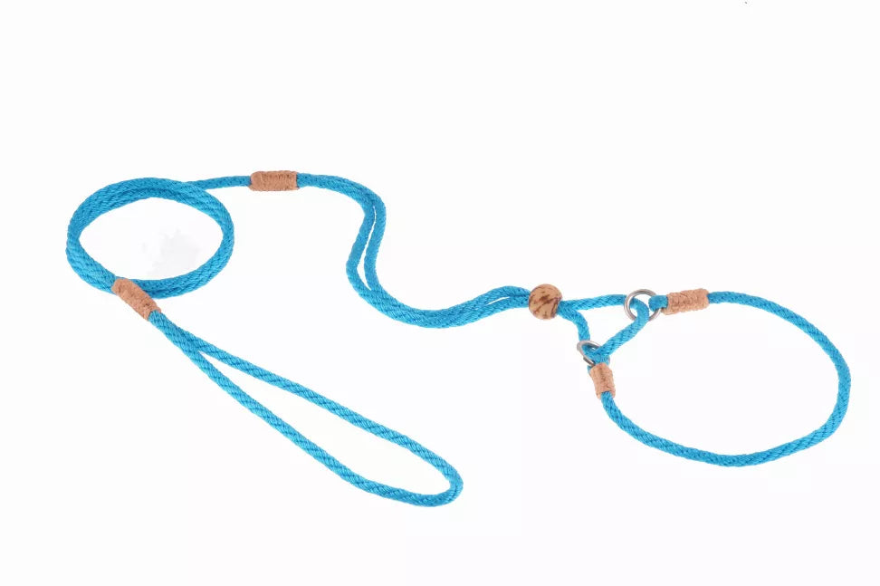 Blue nylon dog martingale lead with brown leather stops and metal rings