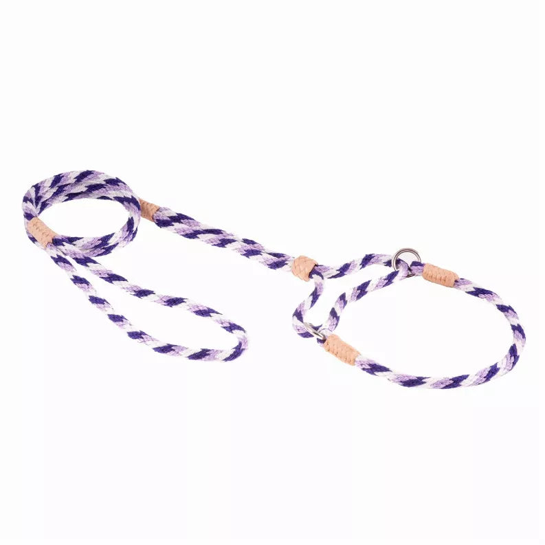 Braided nylon dog martingale lead, purple and white rope with metal ring and tan leather ends