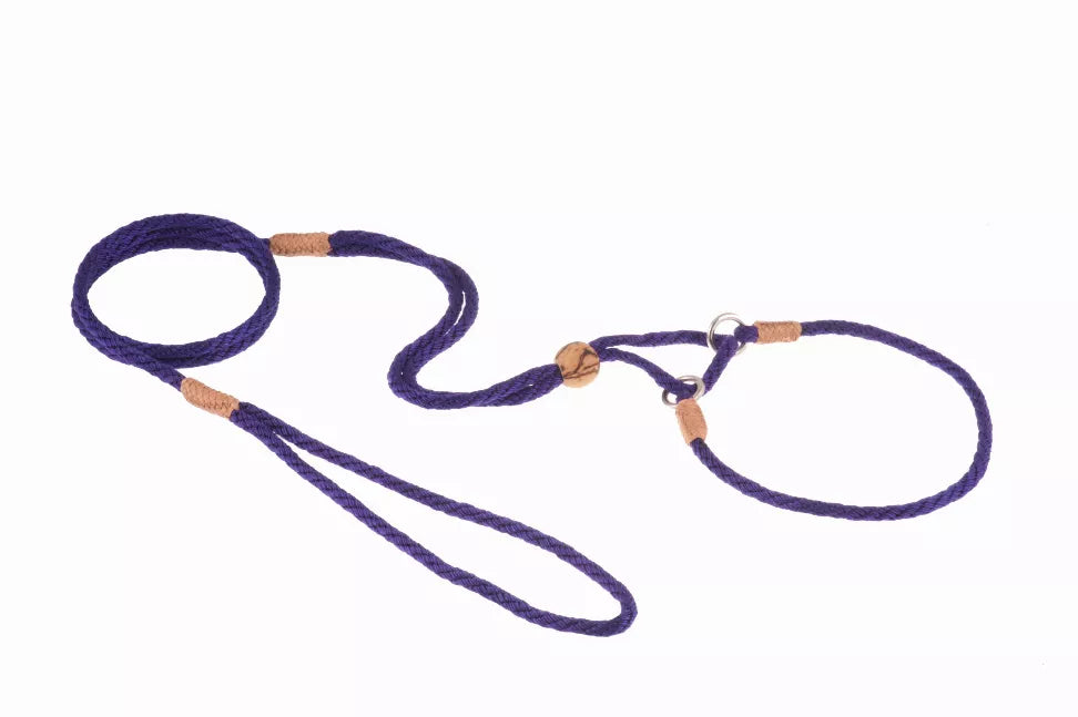 Dark purple nylon martingale dog lead with brown adjuster tabs and metal ring