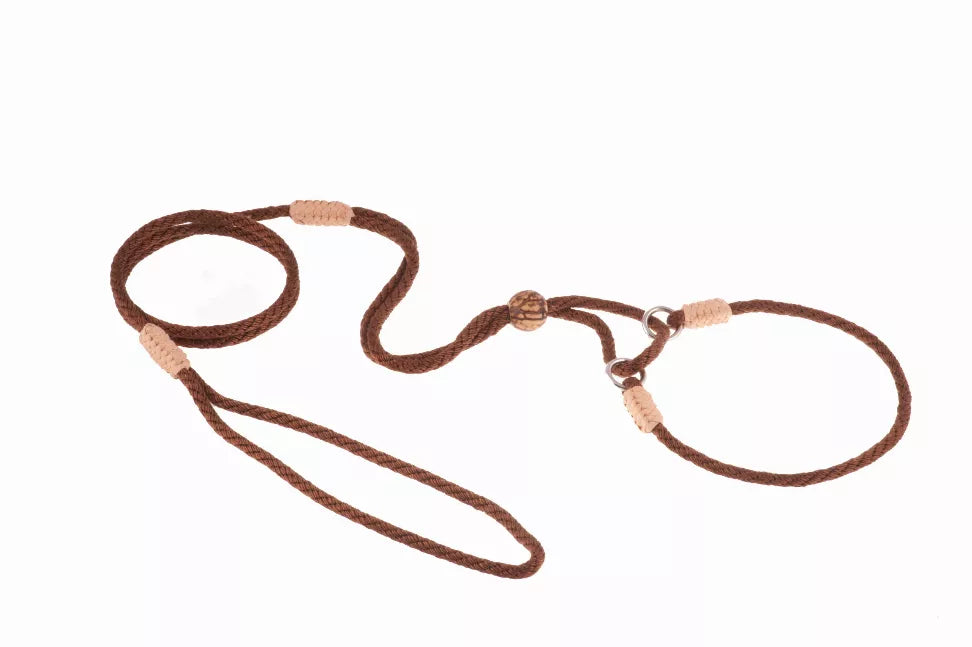 Alvalley Nylon Martingale Leads - Pet Supplies