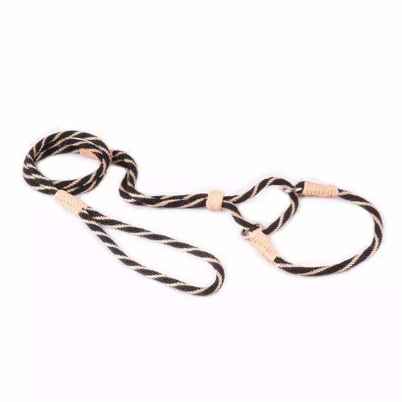 Alvalley Nylon Martingale Leads - Pet Supplies