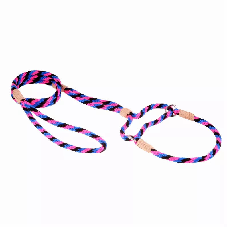 Alvalley Nylon Martingale Leads - Pet Supplies