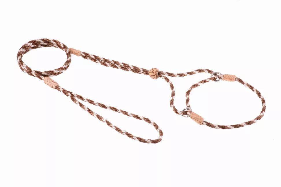 Alvalley Nylon Martingale Leads - Pet Supplies