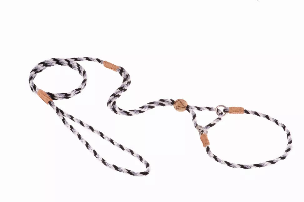 Alvalley Nylon Martingale Leads - Pet Supplies