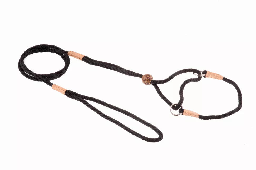 Alvalley Nylon Martingale Leads - Pet Supplies