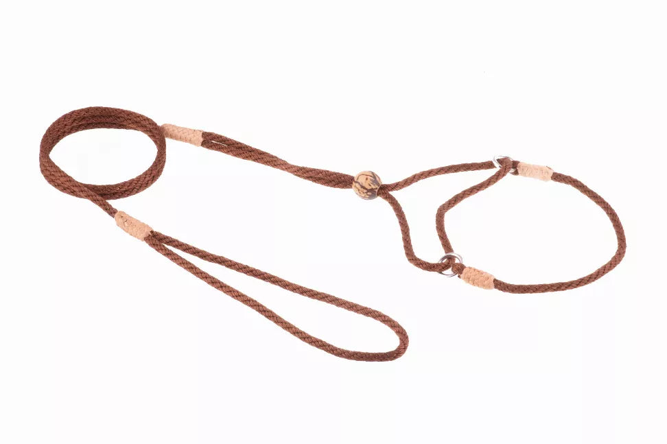 Alvalley Nylon Martingale Leads - Pet Supplies