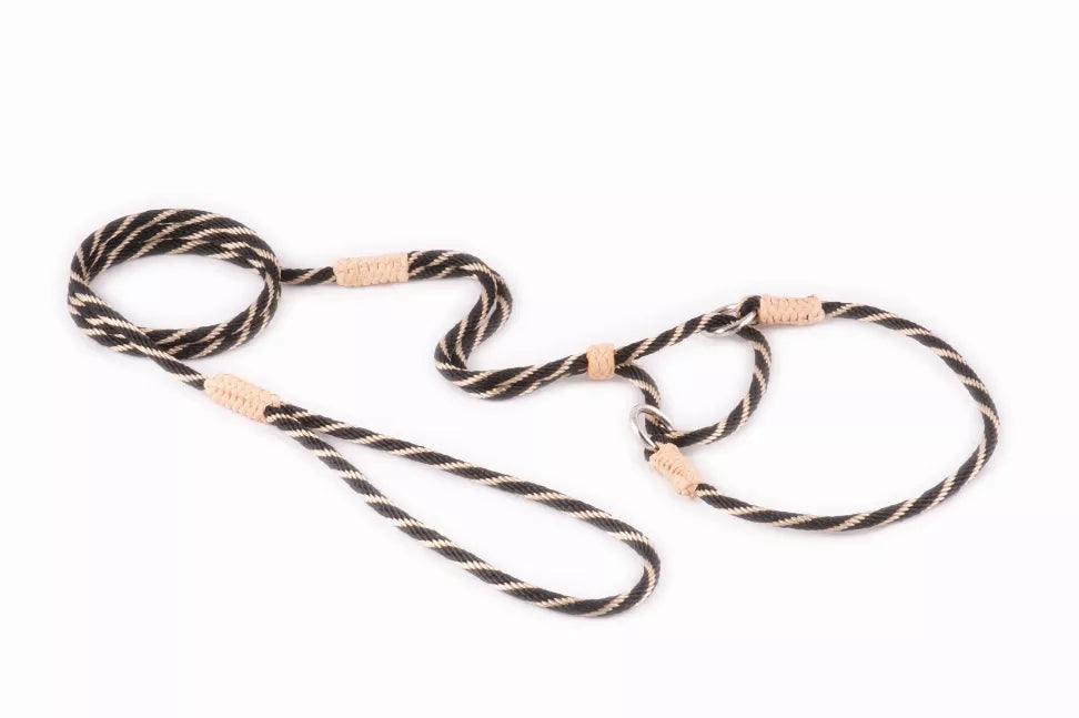 Alvalley Nylon Martingale Leads - Pet Supplies