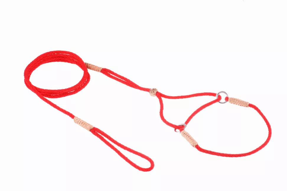 Red nylon martingale dog lead with dual handle and metal rings