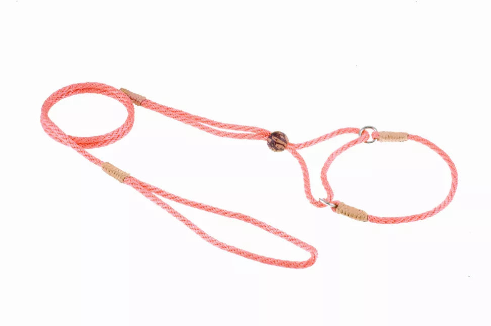 Red-orange nylon dog leash with martingale rings, braided strap, and slip loop