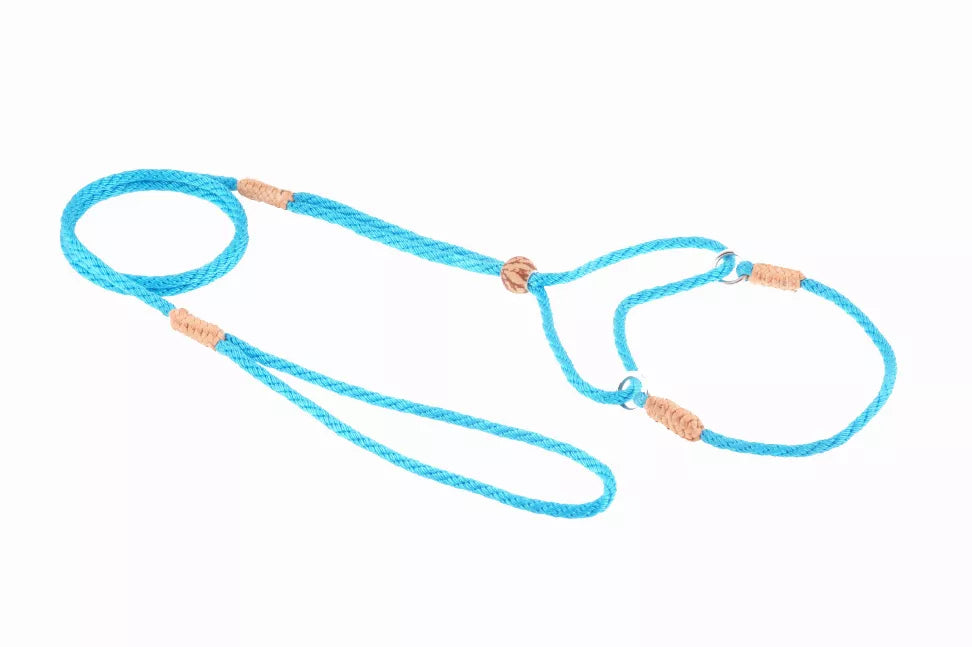 Light blue nylon martingale dog lead with two loops and metal rings, rope-style