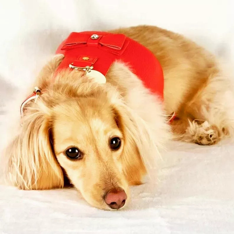 Dog Harness - Pet Supplies