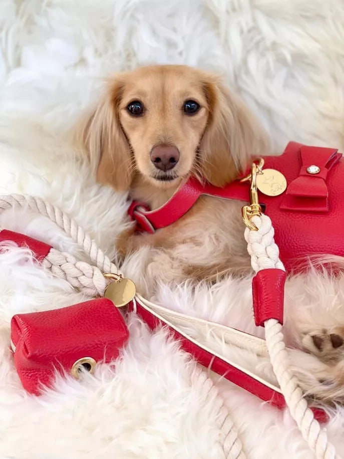 Dog Harness - Pet Supplies