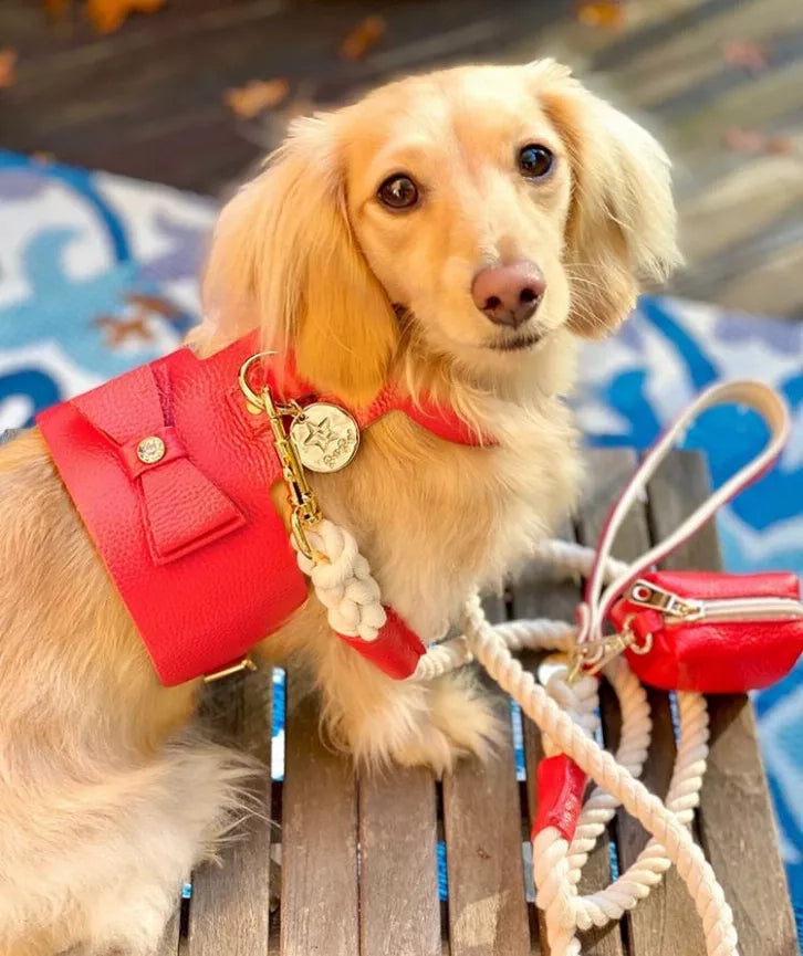 Dog Harness - Pet Supplies