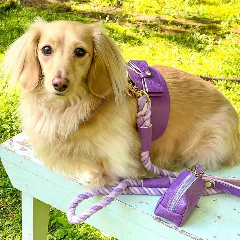 Dog Harness - Pet Supplies