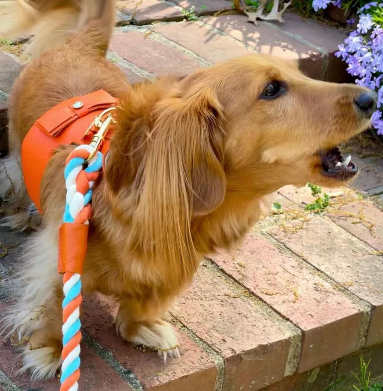 Dog Harness - Pet Supplies