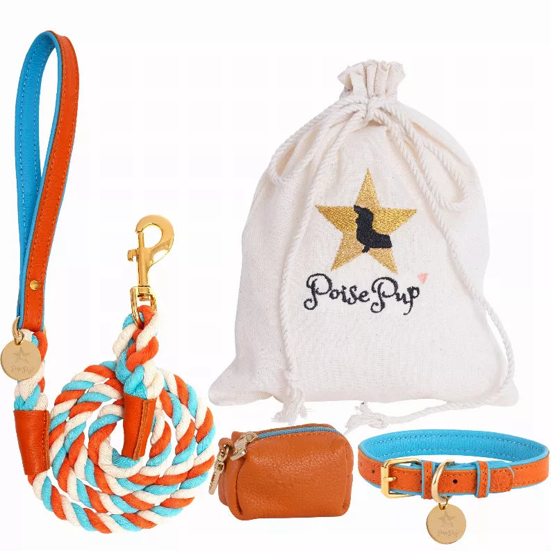 Dog Harness - Pet Supplies