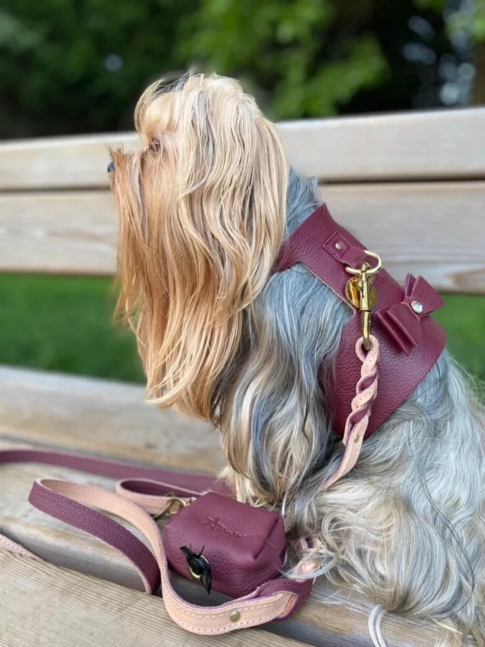Dog Harness - Pet Supplies