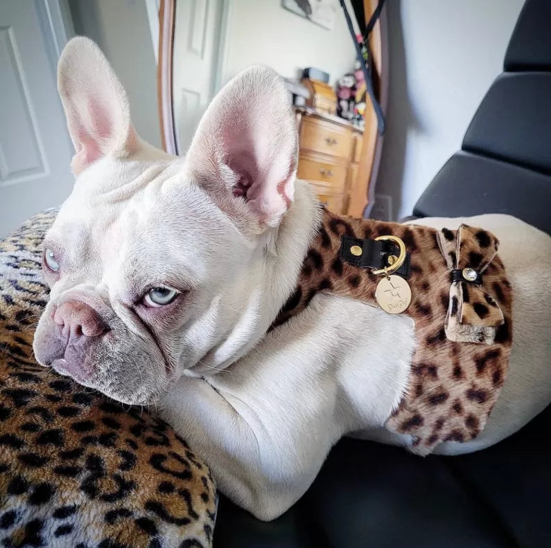 Dog Harness - Pet Supplies