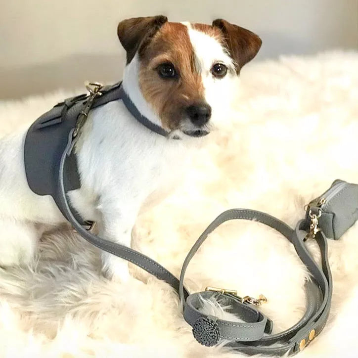 Dog Harness - Pet Supplies