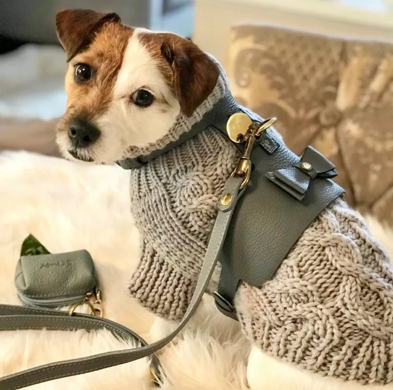 Dog Harness - Pet Supplies