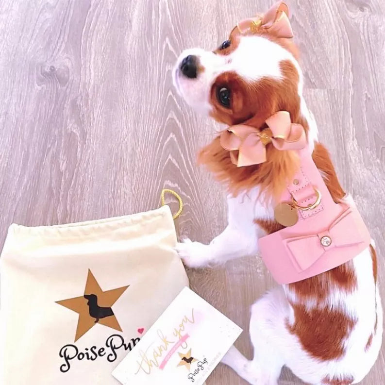 Dog Harness - Pet Supplies