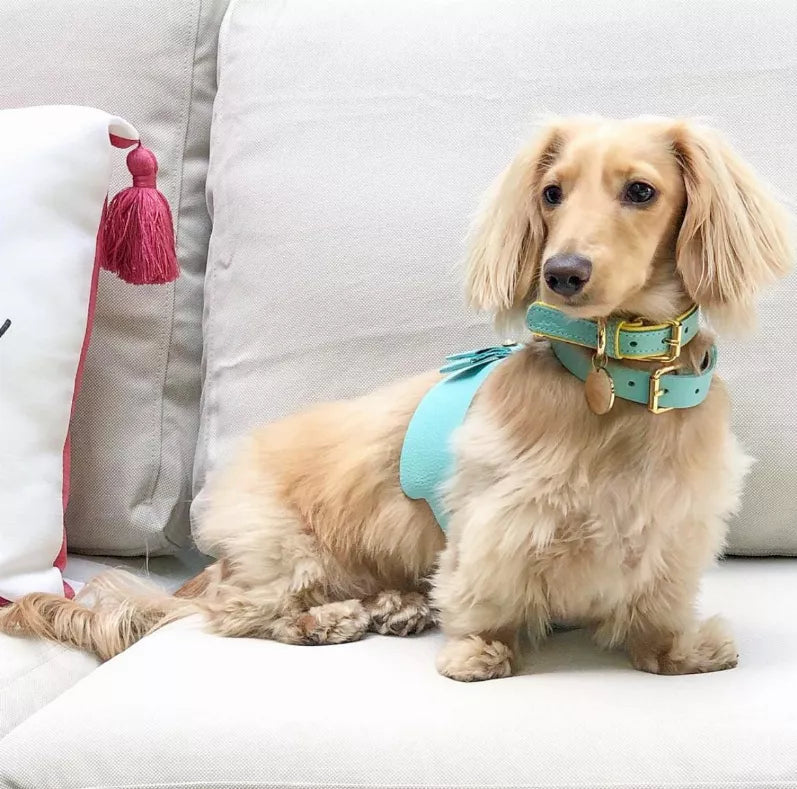 Dog Harness - Pet Supplies