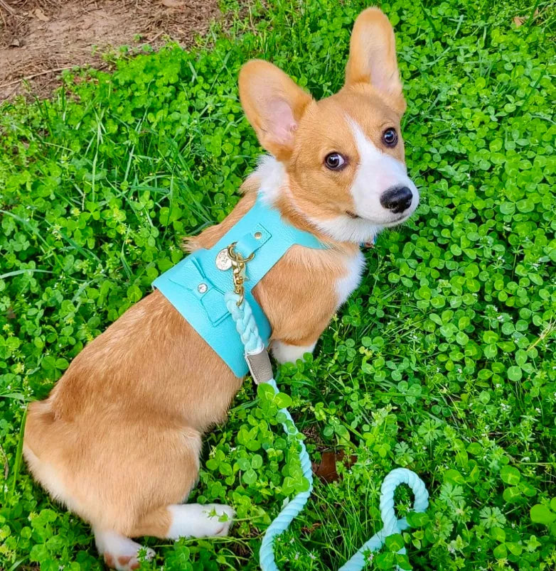 Dog Harness - Pet Supplies