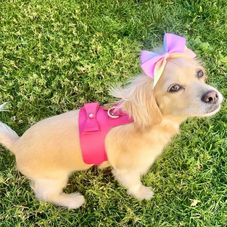 Dog Harness - Pet Supplies