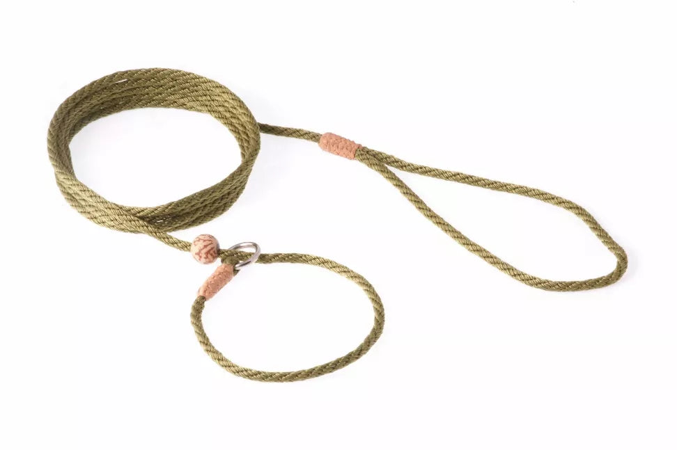 Alvalley Nylon Slip Lead With Stopper - Pet Supplies