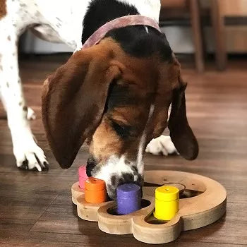 Brainiac  Interactive Pet Toy - 1 / Busy Paw - Toys