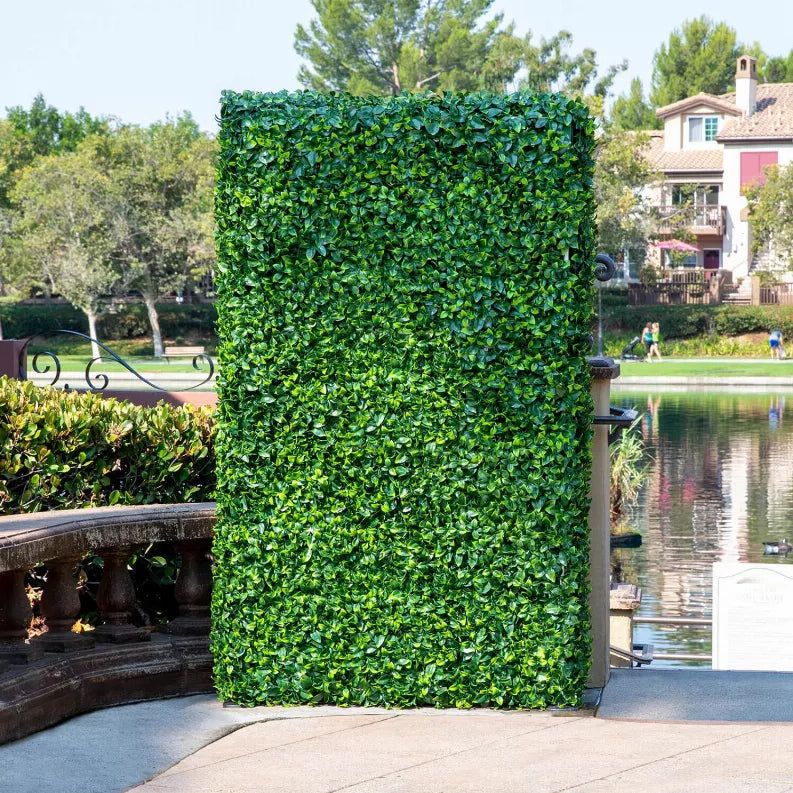 Outdoor freestanding ficus hedge panel with dense bright green leaves, next to water feature.