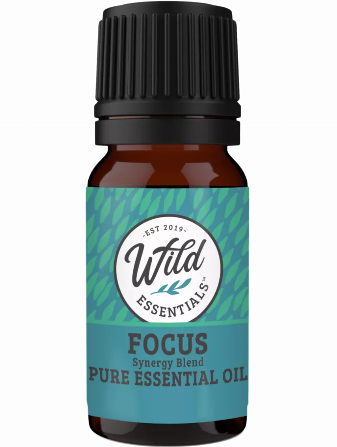 Essential Oils Synergy Blends (Comes in 18 Different Areas of Focus) - Focus - Concentration / 1 - Adult Products