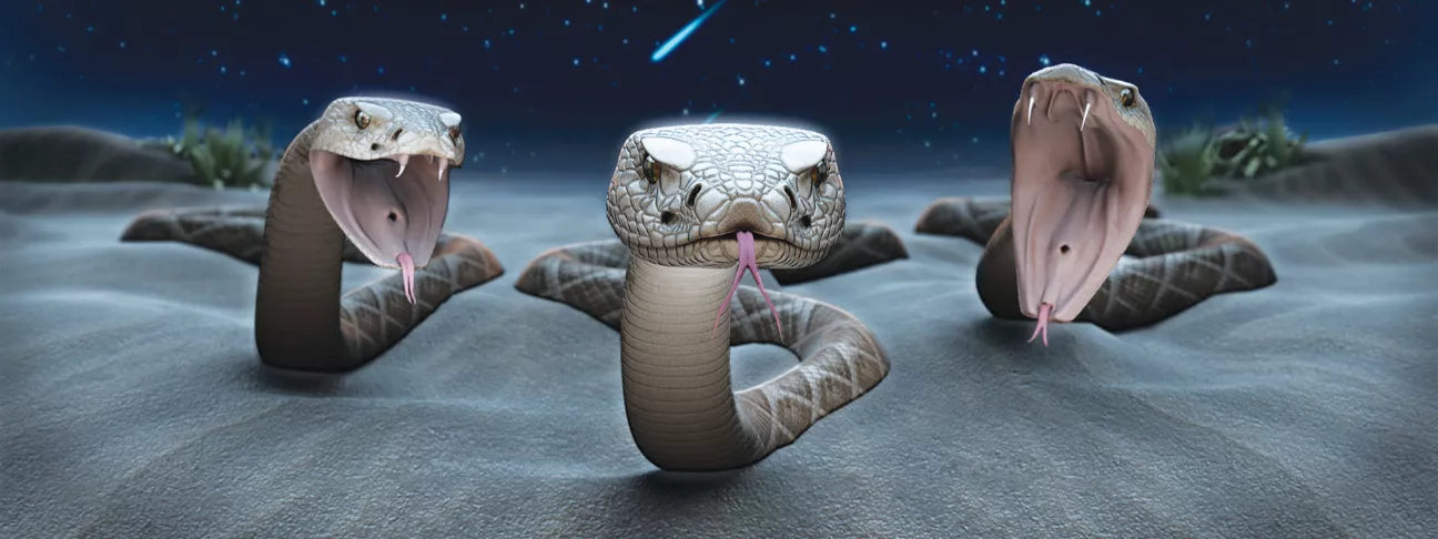 Snake-shaped motion bookmark and 6-inch ruler with coiled body, open mouth