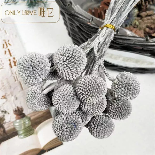 Gray pom-pom globosa flower bunch with multiple round blooms tied with clear wire