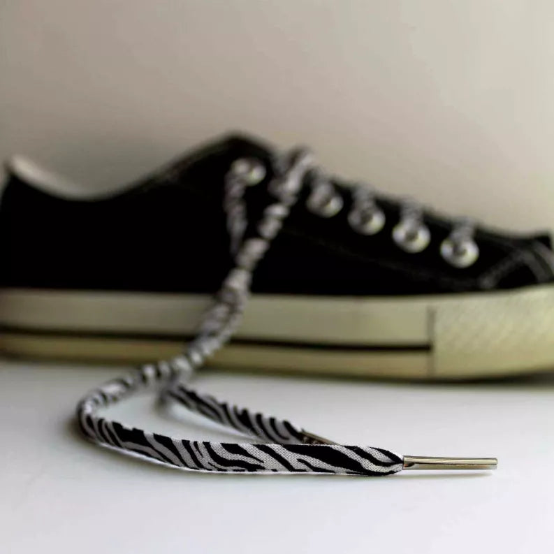 Zebra-pattern shoelace with silver metal tip, curled