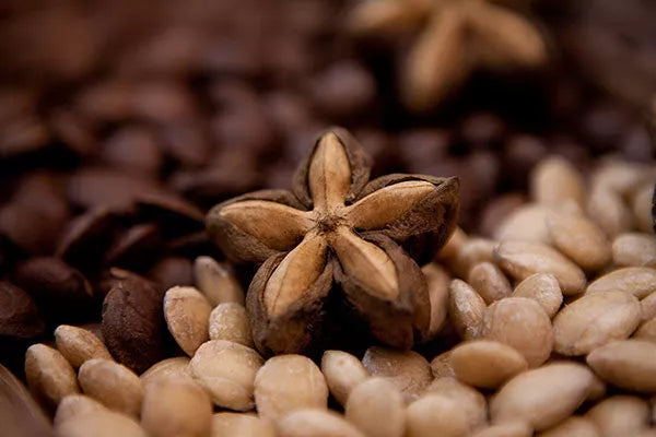 Meal topper pellets topped with dried herb pod, warm brown tones